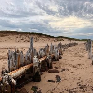 Meet your Posher, Kimberley